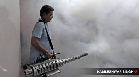 A total of 1,078 cases of dengue have been reported in the Union Territory with the majority of cases in districts of Jammu (659), Kathua (194) and Samba (94), the officials said. (Representational/File)