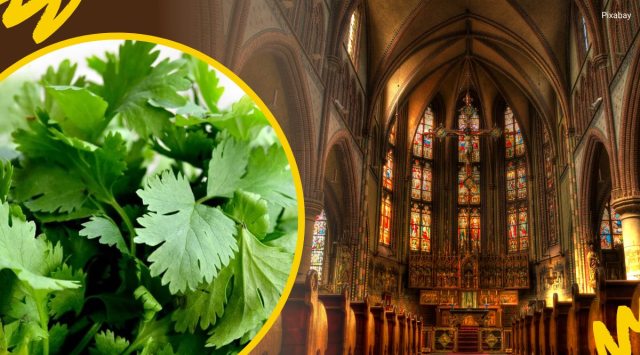 Netizens were furious the way churchgoers behaved with the woman, calling them out for their prejudices.