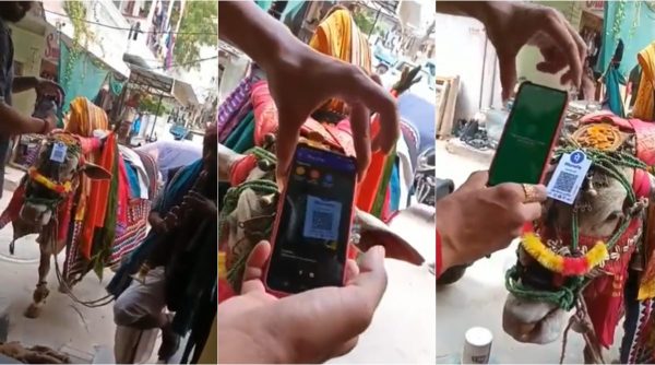 digital india, anand mahindra, Gangireddulu, Gangireddulu digital payment, upi payment for street performer, viral video, indian express