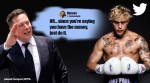 jake paul, elon musk, elon musk 6 billion dollars to un, jake paul 10 million dollars to UN, Jake paul world hunger donation clause, viral news, indian express