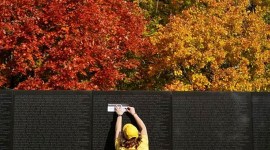 Autumn, Fall, Nature