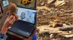 Glacier National Park, lost teddy bear returned, lost toy reunited with child, national park returns lost toy after a year, viral news, good news, indian express