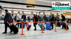 new Covid variant, Covid-19 variant 8.1.1529, foreign travel rules India Covid, India new foreign travel rules, rules for Botswana, South Africa , Hong Kong travellers, indian express, express explained