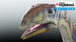 Issi saaneq: New dinosaur species, which roamed Greenland 214 mn years ago