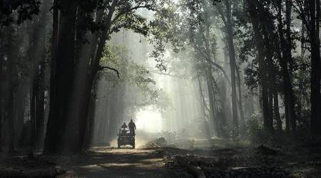 Dehradun, Corbett Tiger Reserve, Uttarakhand government, Uttarakhand news, National Tiger Conservation Authority, Delhi HC, illegal construction, tree felling