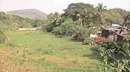 leopards, leopards attack, Aarey Milk Colony, Sanjay Gandhi National Park, SGNP, Mumbai