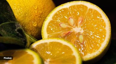 foods to eat during periods, foods to avoid during periods, sour food, can we eat sour food during periods, period cramps, indian express news