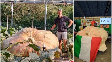 giant pumpkin, pumpkin news, guinness world records news, guinness news, indianexpress.com, indianexpress,