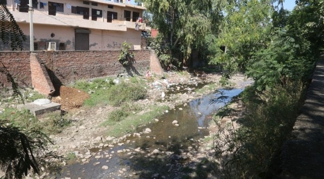 The contaminated nullah has remained one of the major sources of pollution and nuisance in Panchkula, with people dumping their waste in it. (Express photo)
