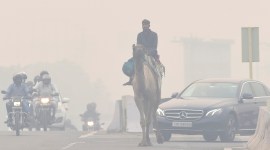 Weather: Smog in Delhi Delhi Smog, Delhi weather, air pollution, carbon monoxide ozone, Air Quality, farm fires, Centre for Science and Environment, sulphur dioxide