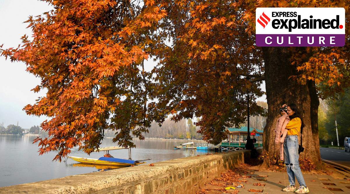 Srinagar, Srinagar UNESCO tag, Srinagar UNESCO creative city, Srinagar news, Indian Express