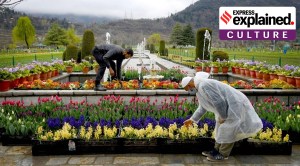 Explained: How Srinagar earned UNESCO creative tag