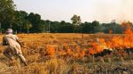 pollution, punjab pollution, farm fires punjab, stubble burning punjab, stubble burning pollution, punjab news today, punjab latest news, environmental hazards india