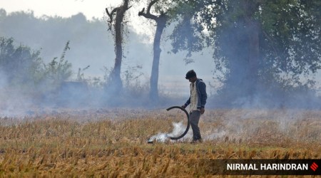 A farmer burns paddy stubble (File)