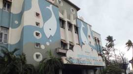 Taraporewala aquarium, Taraporewala, aquarium, BMC, Byculla, Byculla zoo, MUMBAI