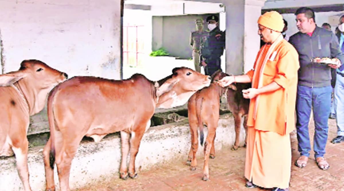 up elections 2021