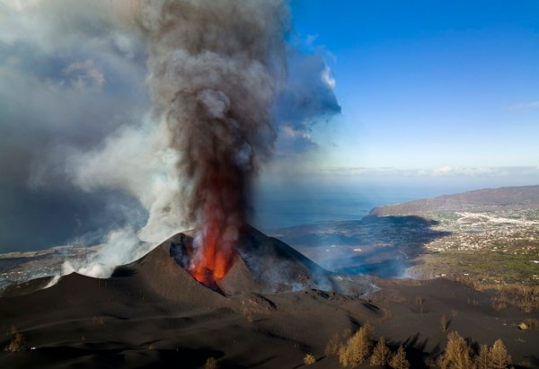 Honeybees survived for weeks under volcano ash after Canary Islands ...