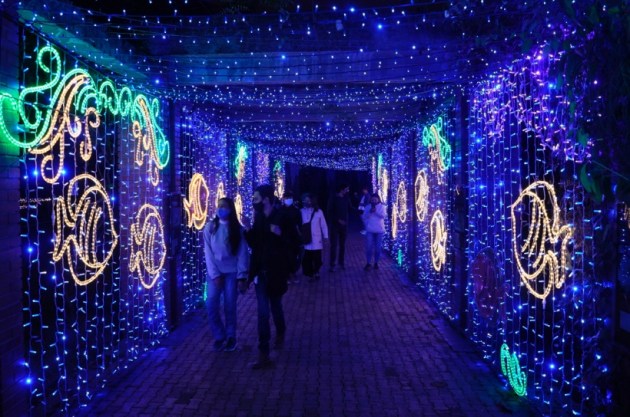 Colombia Christmas, Christmas gallery