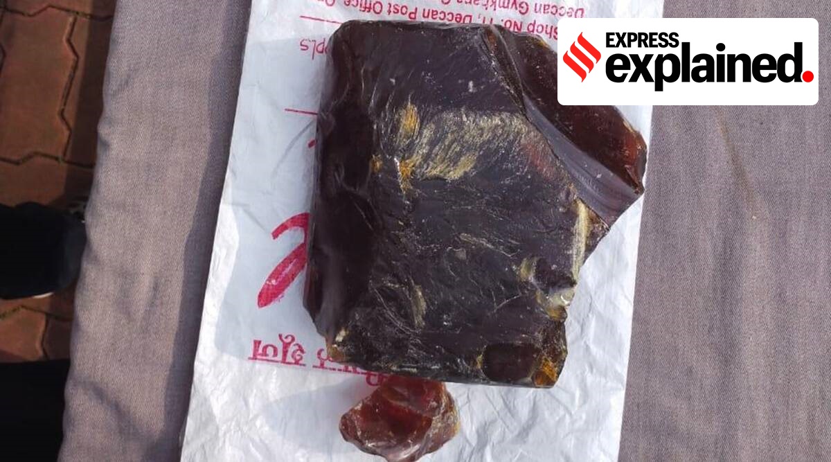 Ambergris is used to produce perfumes which have notes of musk. (File)