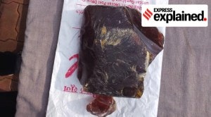 Explained: What is ambergris, the floating gold?