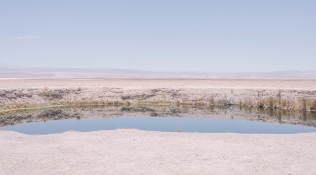 climate change, climate emergency chile, ecological emergency chile, chile new constitution, lithium mining