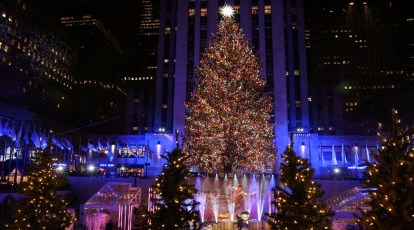 New York kicks off festive season with lighting of tree