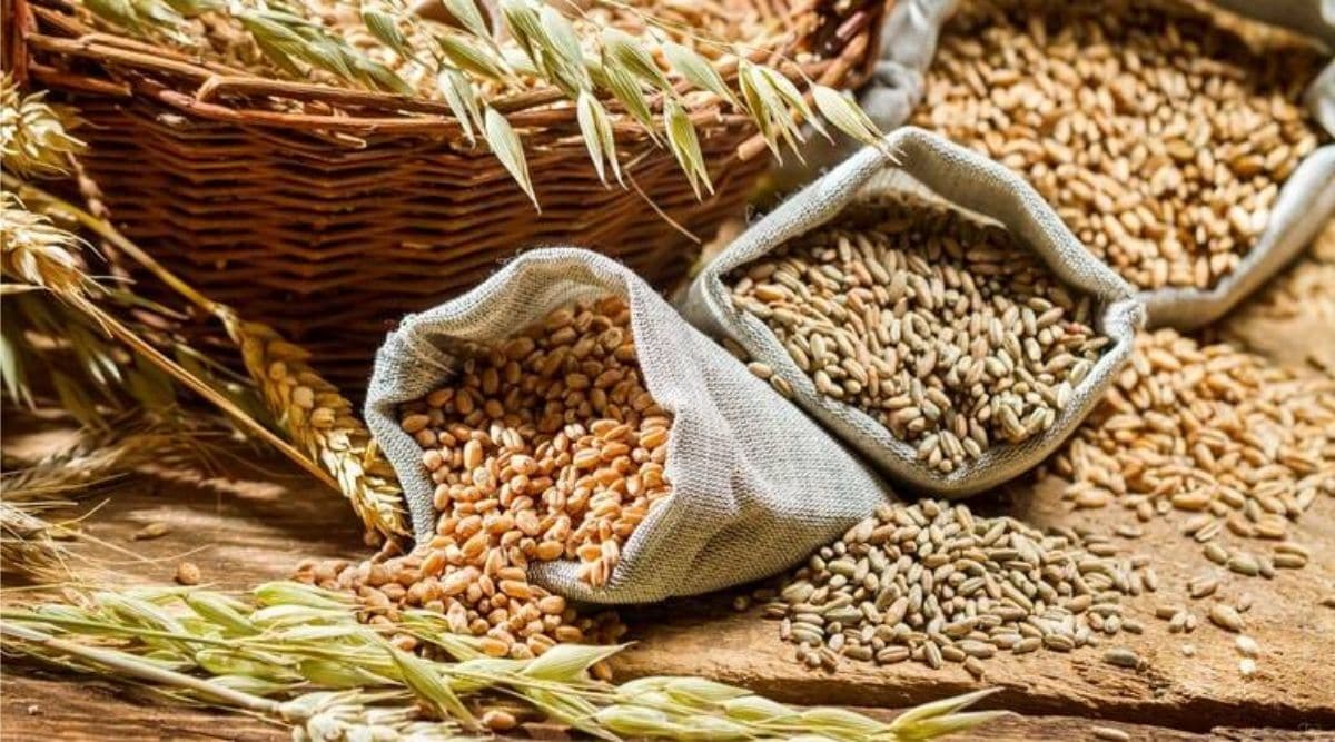 centre-revises-guidelines-for-procurement-of-coarse-grain-india-news