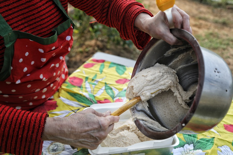 Crescentia Fernandes