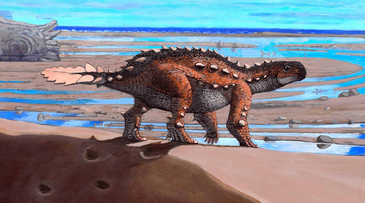 This dinosaur found in Chile had a battle ax for a tail thumbnail