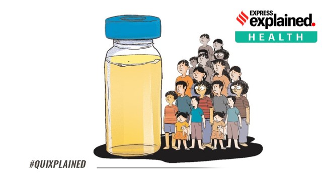 Children born in 2007 and earlier shall be eligible to receive the vaccine, the ministry said.