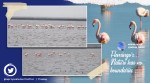 flamingo, migratory birds, Tamil Nadu, Point Calimere Sanctuary, Kodiakarai, flamingo video, birds video, indian express