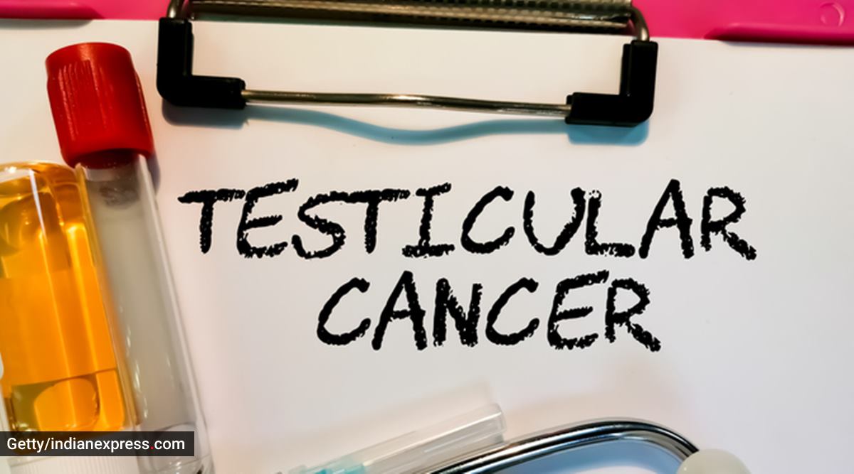 testicular cancer, signs and symptoms of testicular cancer, male cancer, cancers in men, how to do a self-exam for testicular cancer, indian express news