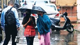 Unseasonal rain, Gujarat rain, Gujarat Unseasonal rain, Saurashtra, South Gujarat, Surat, Dang, Tapi, Navsari, Valsad, India Meteorological Department IMD, rainfall winter, Indian Express, India news, current affairs, Indian Express News Service, Express News Service, Express News, Indian Express India News