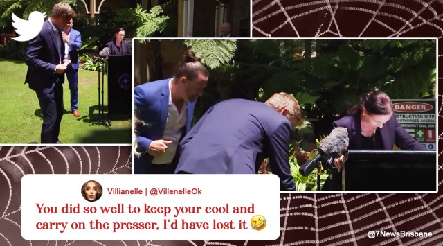 Hunstman spider, spider, Australian Minister, press conference, Covid, spider on leg, social media viral, indian express