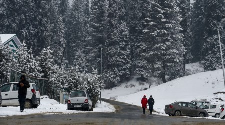 The administration organised a visit to the Suchetgarh border in Jammu on Saturday to encourage Samba farmers to follow their counterparts here, she said. (Representational image: PTI)

