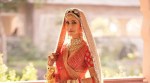 Katrina Kaif wedding