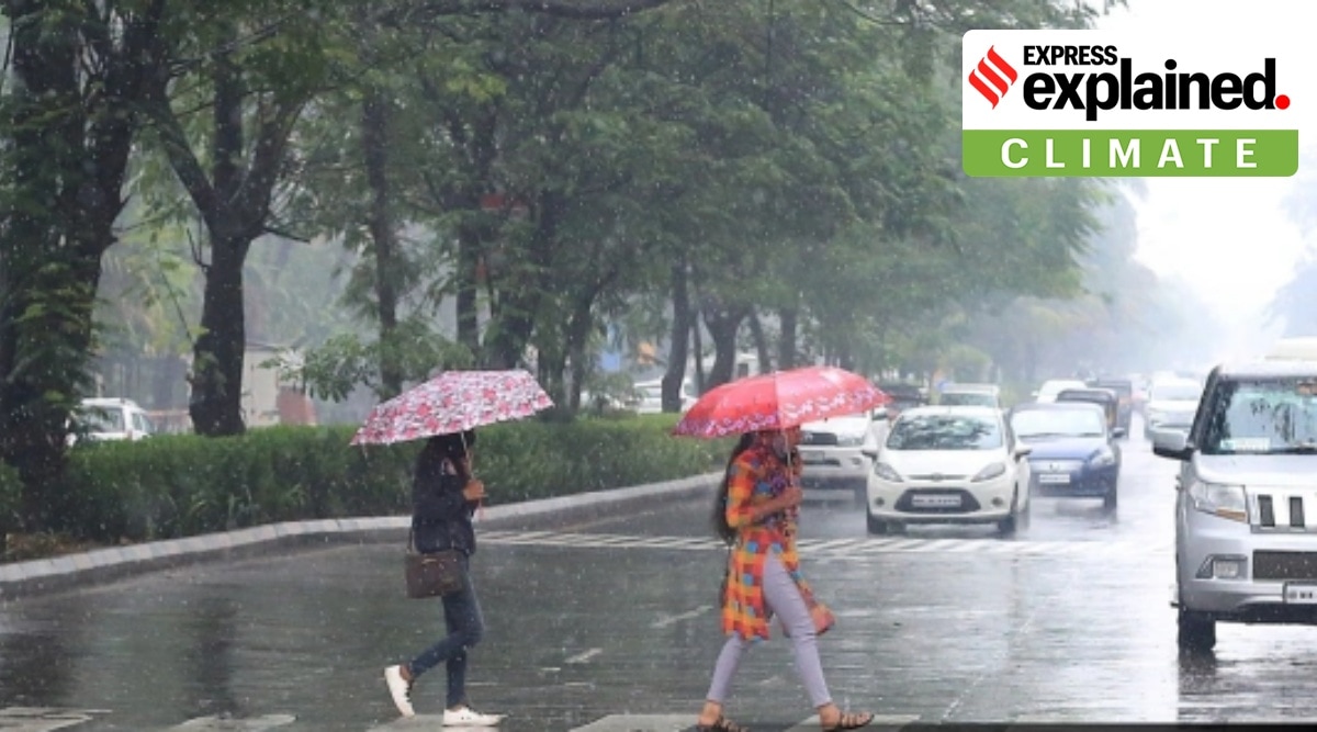 Rain in November-December is not a usual feature in Maharashtra. (Express Photo: Amit Chakravarty)