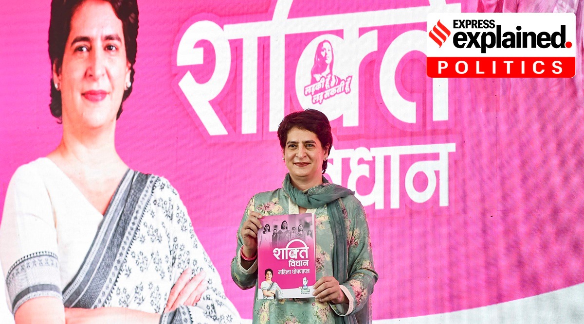 Congress national General Secretary Priyanka Gandhi Vadra recently launched the 'pink manifesto', aiming to mobilise women voters in Uttar Pradesh. (Photo: PTI)