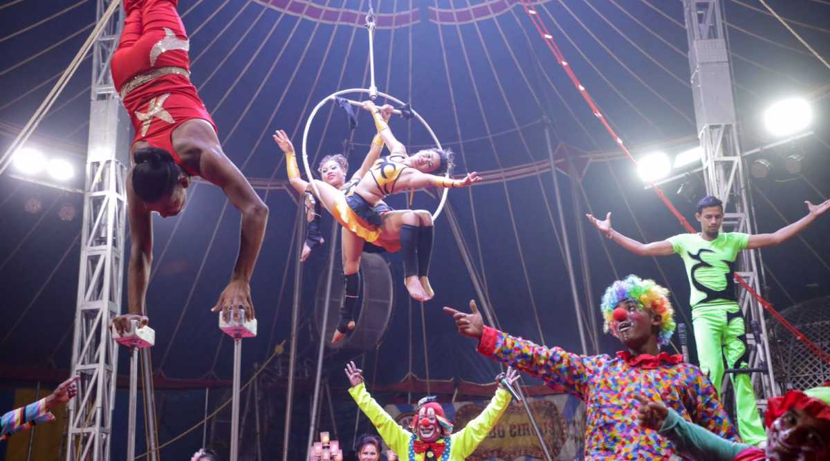 Rambo Circus presents a range of world-class thrilling acts for children and adults, ensuring that nobody leaves the tent without a smile.