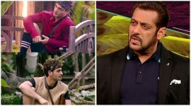 Salman Khan Asim Riaz Umar Riaz, Himanshi Khurana says 'trying to create rift between brothers