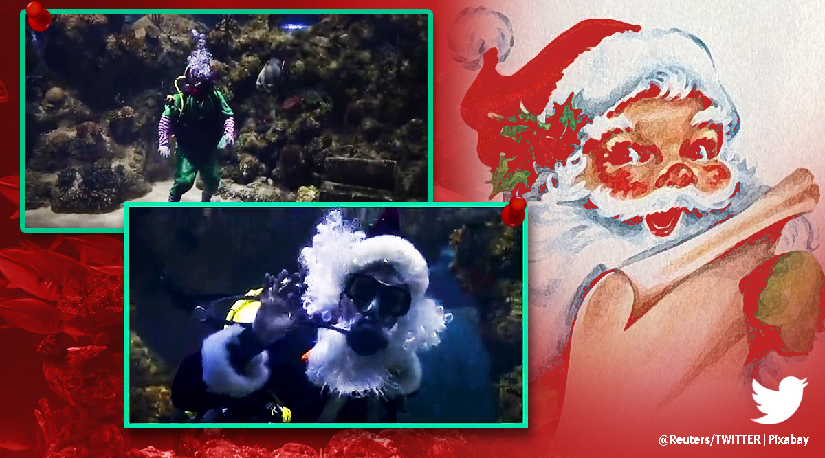 Santa Claus Feeds Fish In Malta S Aquarium Video Goes Viral Trending News The Indian Express