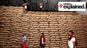 Explained: How to read the WTO panel’s sugar report against India