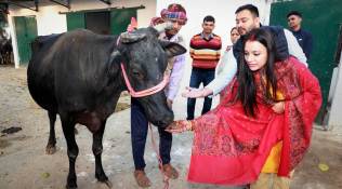 When Tejashwi Yadav wed Rachel Godinho: The knots of a Bihar wedding