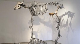 Untitled by Sudarshan Shetty