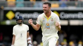 Josh Hazlewood, Hazlewood