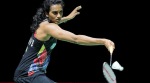 pv sindhu, sindhu, sindhu india, india sindhu, badminton, sports news, indian express