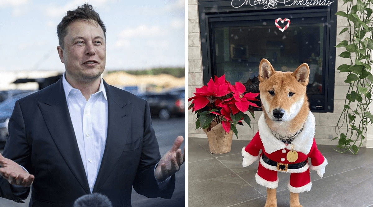 Cryptocurrency Santa Floki surges 4000 per cent