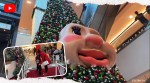 Talking Christmas tree, Christmas tree, Christmas, Woody the tree, Dartmouth, Canada, social media viral, indian express