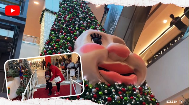 Talking Christmas tree, Christmas tree, Christmas, Woody the tree, Dartmouth, Canada, social media viral, indian express