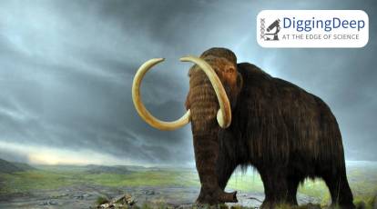 Woolly Mammoth Extinction Firm Raises $15m To Bring Back Woolly